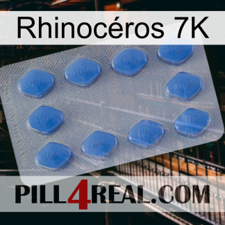 Rhinocéros 7K 21